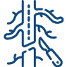 Cardiothoracic and Vascular Surgery (CTVS)